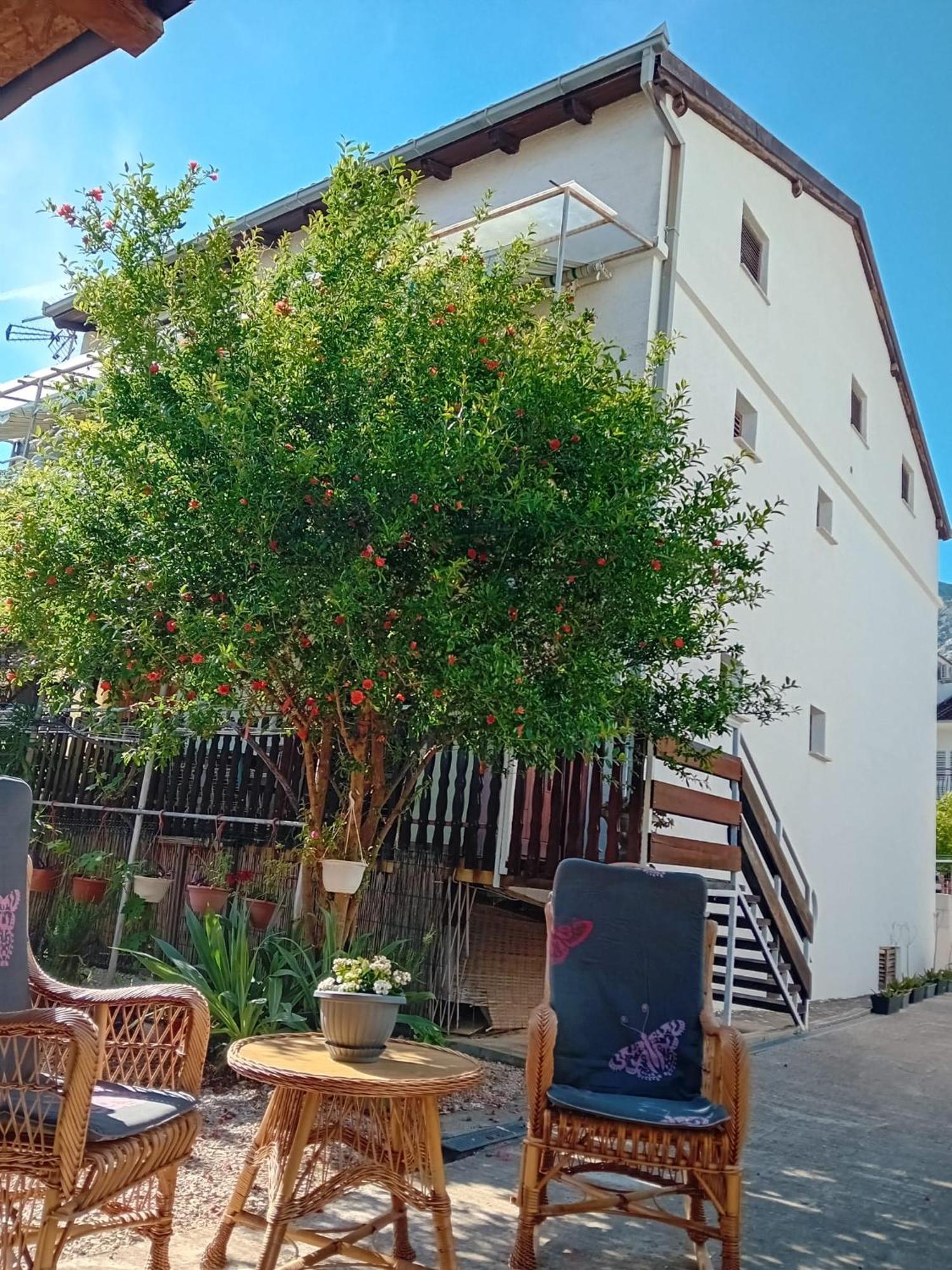 Apartments Vidic Оребич Екстер'єр фото